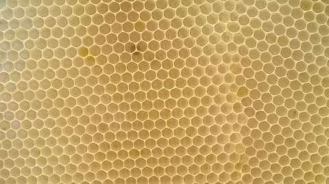 Bienenwaben © KDR