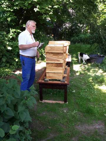 Unser Bienenpate Volker © KDR