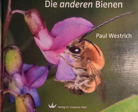 Westrich